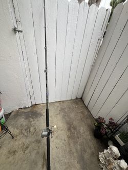 Fishing pole and Reel