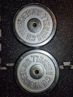 25LBS chrome weights