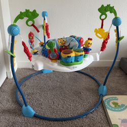 Baby Einstein Jumper 