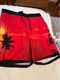 Mens Bathing Suit