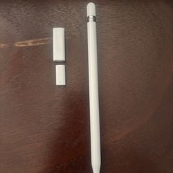 Apple Pencil With Adapters