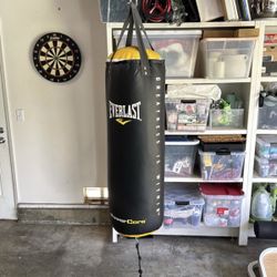 Everlast Punching Bag 