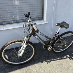 Diamondback Lustre 2 Bike