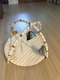 Baby Gym Mat Activity