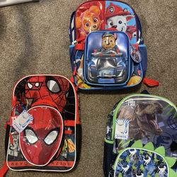 Backpack/lunchpail(new)