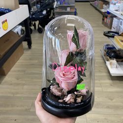 Pink Preserved Roses Dome