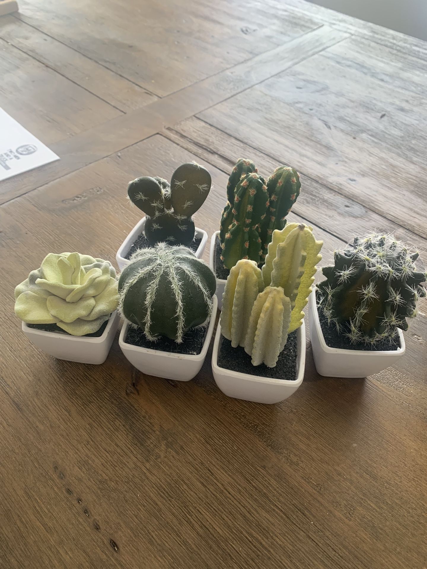Fake Succulents