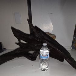 Aquarium  Driftwood 