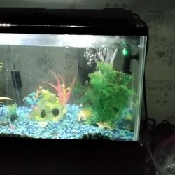 Fishtank And Small Fishtank (Nursery)Plus Extras 