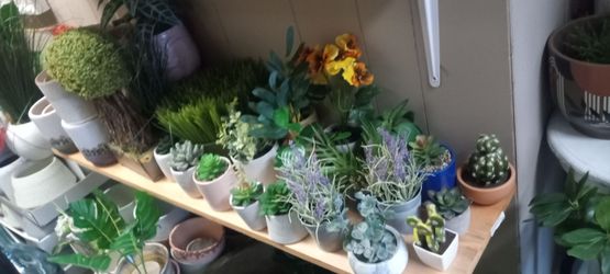New assortment of artificial silk plants 2/10 Dollar each looks real high quality