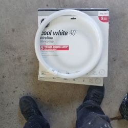 3 Cool White Lights