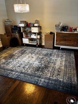 Loloi Rug