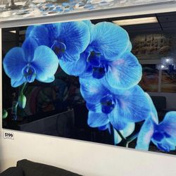 Blue orchid tempered glass wall Art 60” x 36”