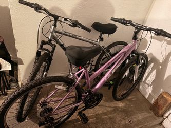 2 bikes + bike rack for car