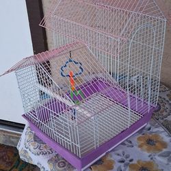 Bird Cage