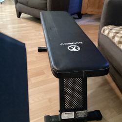 Work Out Bench
