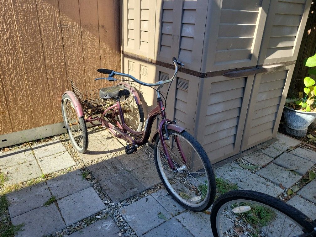 Schwinn Meridian Tricycle Purple