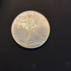 2010 Silver Eagle