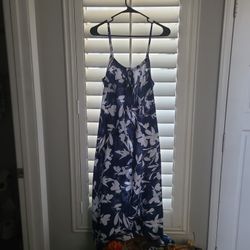 Brand New With Tags Blue And White Dress
