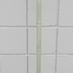 Bamboo Walking Stick