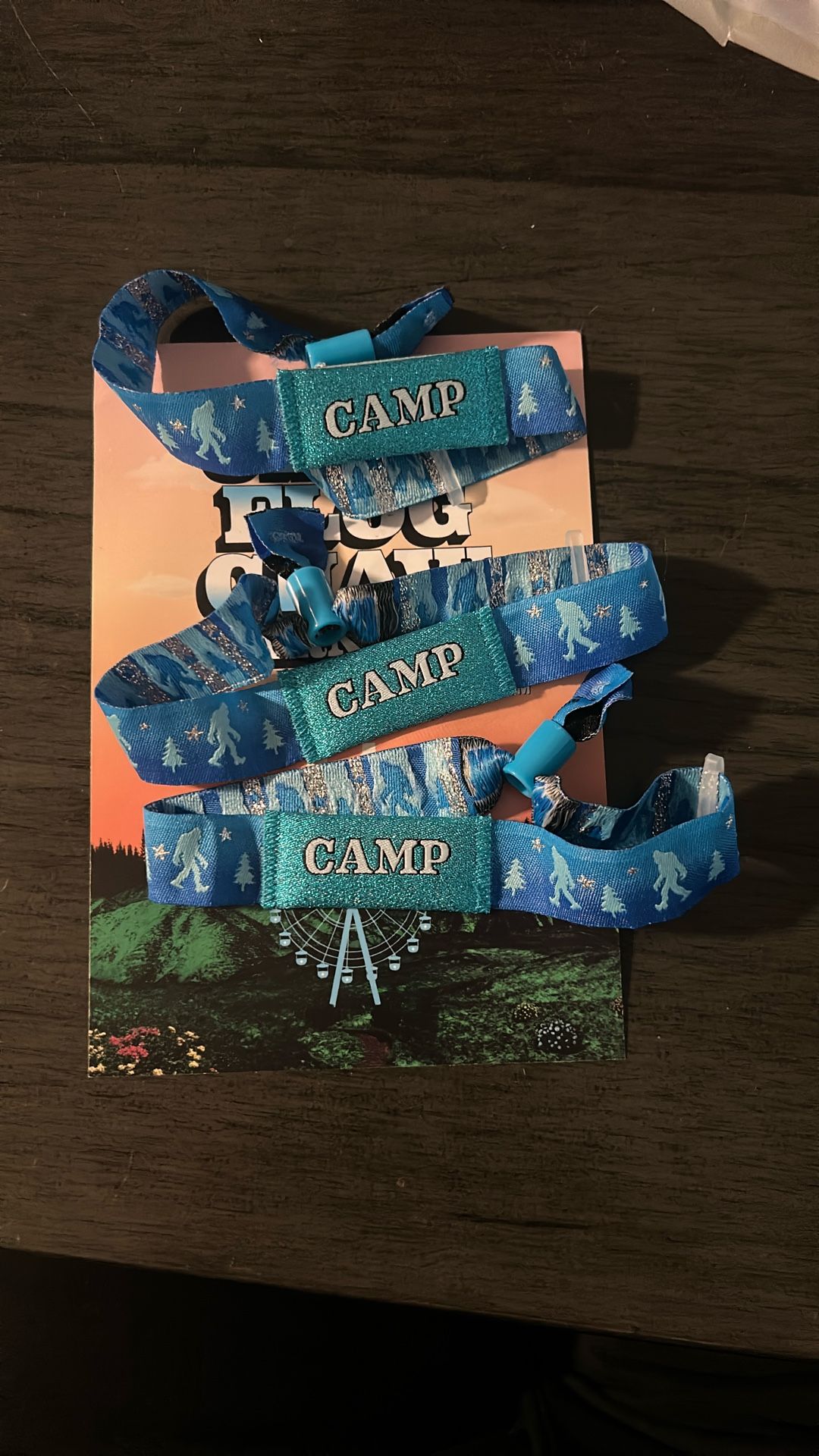 CAMP FLAG GNAW GA