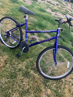 Adults Bike