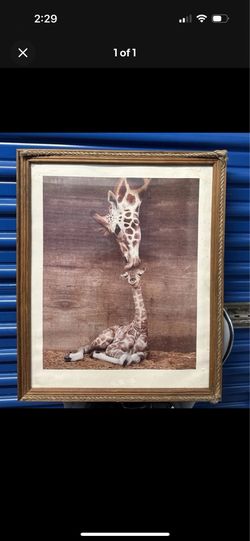 Matted & Framed Portrait Giraffe Print, Animals & Nature Wall Decor