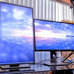 Dell Monitors