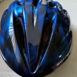 Schwinn intercept online helmet