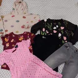 Girl Toddler Bundle 3T