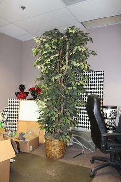 Fake plant tree