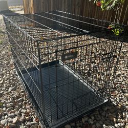 American Kennel Club dog kennel