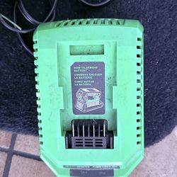 Battery Powered Weed Trimmer -Edge