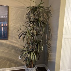 $15 - Moving Must Sell 