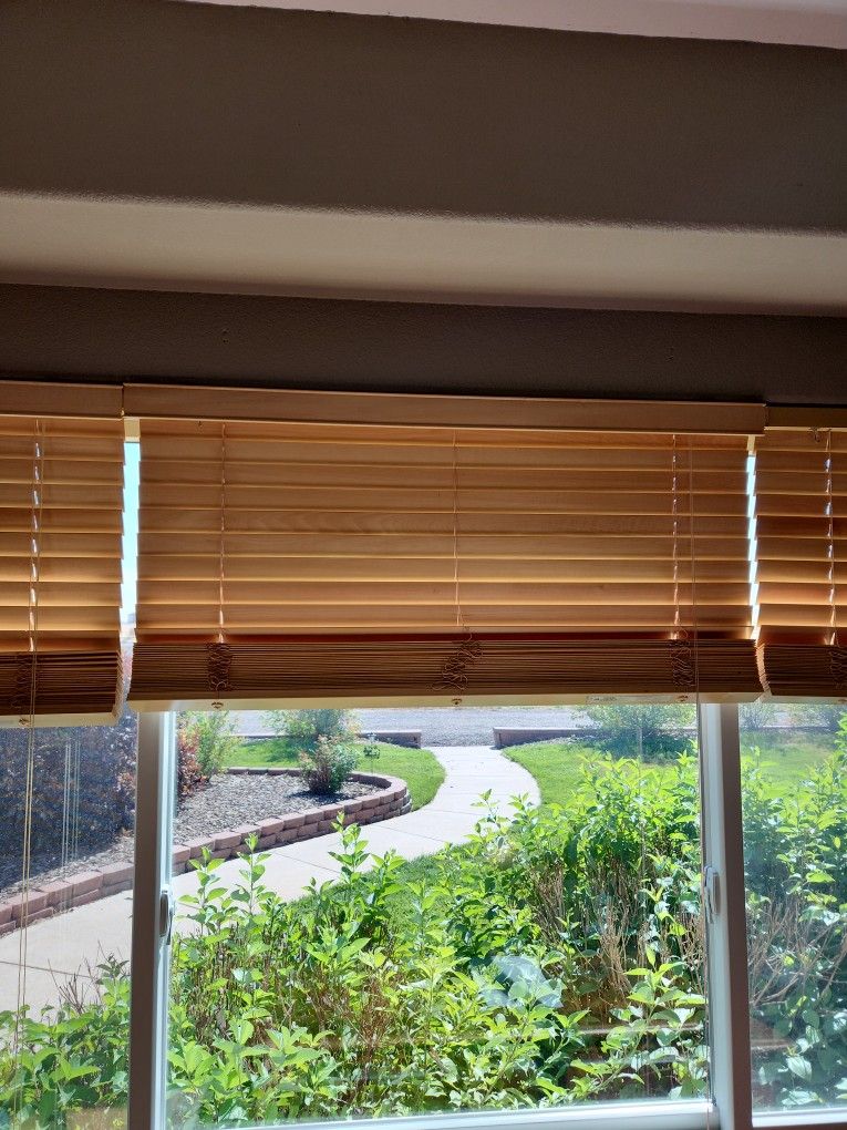 Window Blinds
