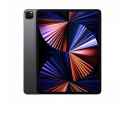 iPad Pro 12 Inch New