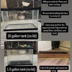 Willing To Trade For Plants/plant Cuttings 