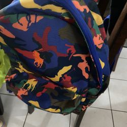 Beautiful Backpack 