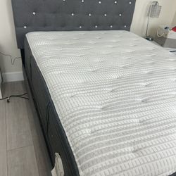 Queen Bed Frame