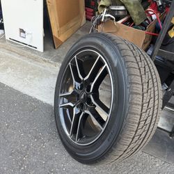 Stock Mustang Wheels 