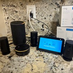 Echo/Alexa System