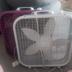 2 Lasko box fans