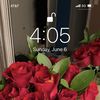 🌹🌹🌹