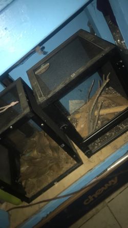 Two Spider  tanks