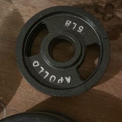 Weight Plates (260lbs Total)