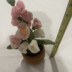 Valentine's Gift Tulip 