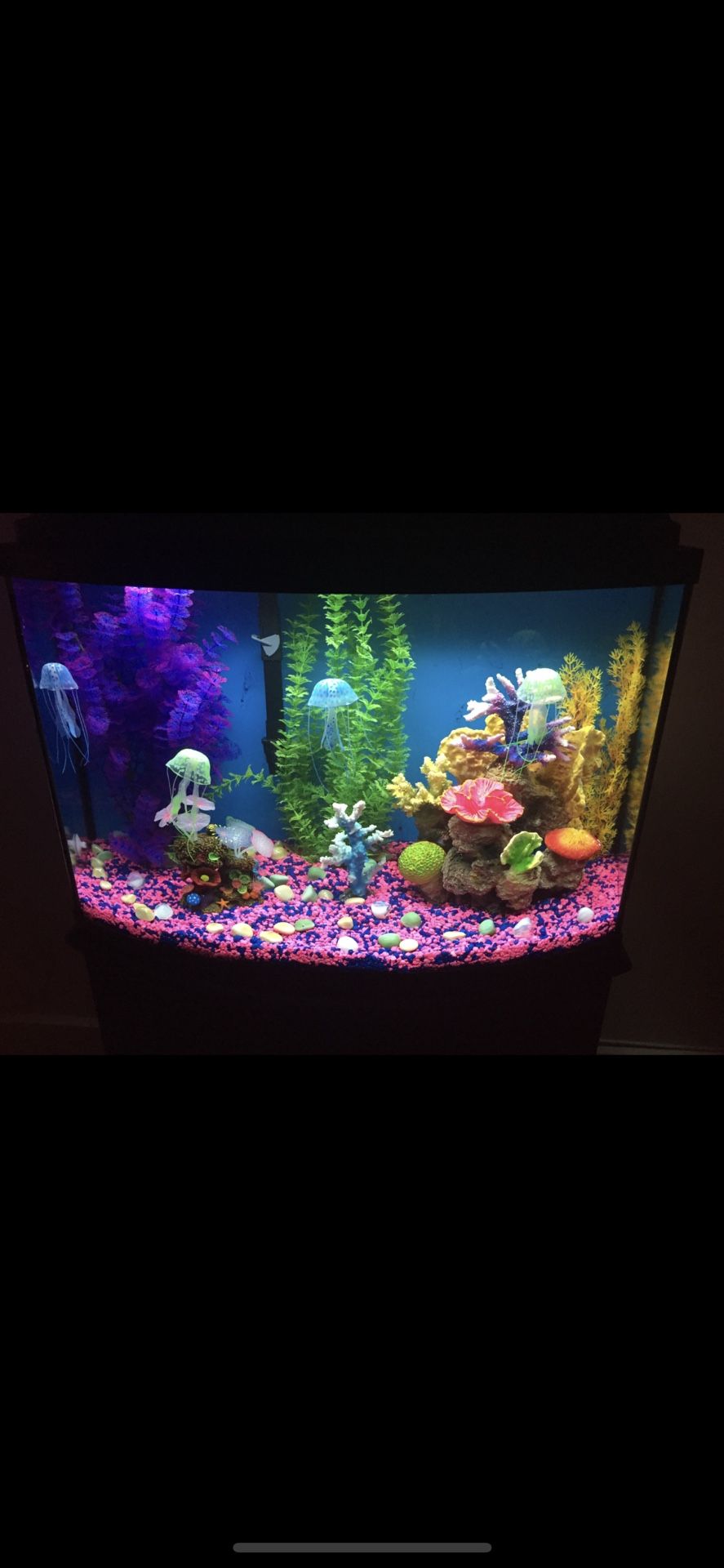 Pecera/ Aquarium with professional filter 35gal