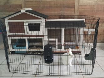 Rabbit Hutch