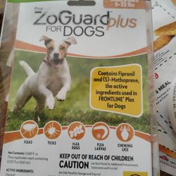 Flea And Tick Treatment 