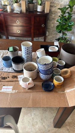 Houseplant pots 25.00 for all